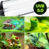 Neon UVB T5 5% Forest 15W