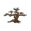 Ada Bonsai Wood 2 Small 22x17 cm