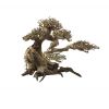 Ada Bonsai Wood 5 Small 22x17 cm