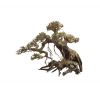 Ada Bonsai Wood 6 Small 2217 cm