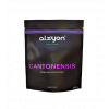 Alxyon CANTONENSIS - Sali per gamberetti Caridina cantonensis da 300 gr