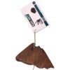 Epic pet - Radice di Erica S