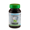 Nekton MSA 40gr