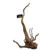 Desert Drift Wood S 20-30cm