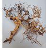 Scaping Twigs / Small Tree 20-50cm - Legno Chiaro per Acquario/Terrario