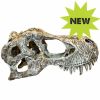 Komodo T-rex Skull Small