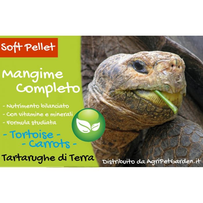 Mangime Tortoise Carrots 1000ml