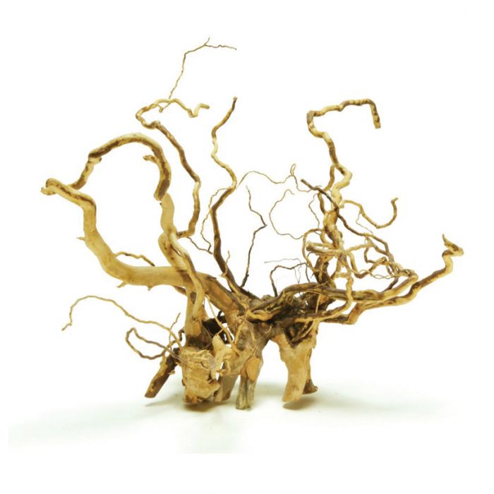 Desert Drift Wood - Radici per terrari naturalistici
