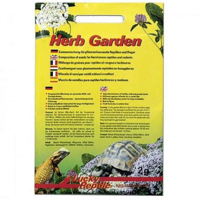 Lucky Reptile Herb Garden - Medicago Sativa (erba Medica)
