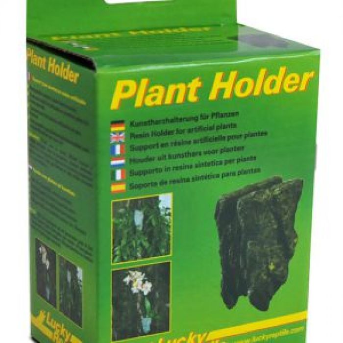 Lucky Reptile Plant Holder