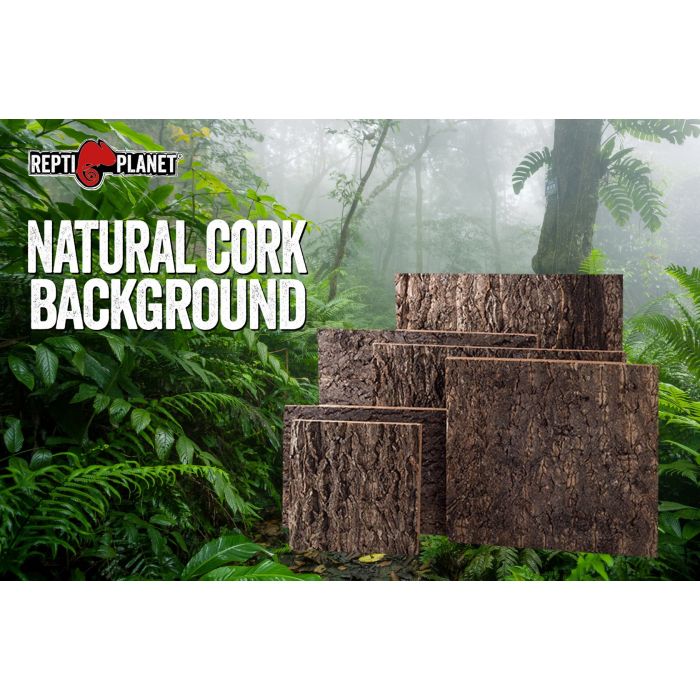 Natural Cork Background - Sfondo naturale in sughero per terrari