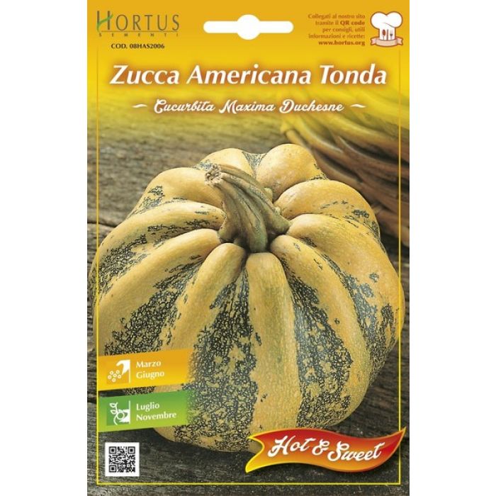 Semi Zucca Americana Tonda