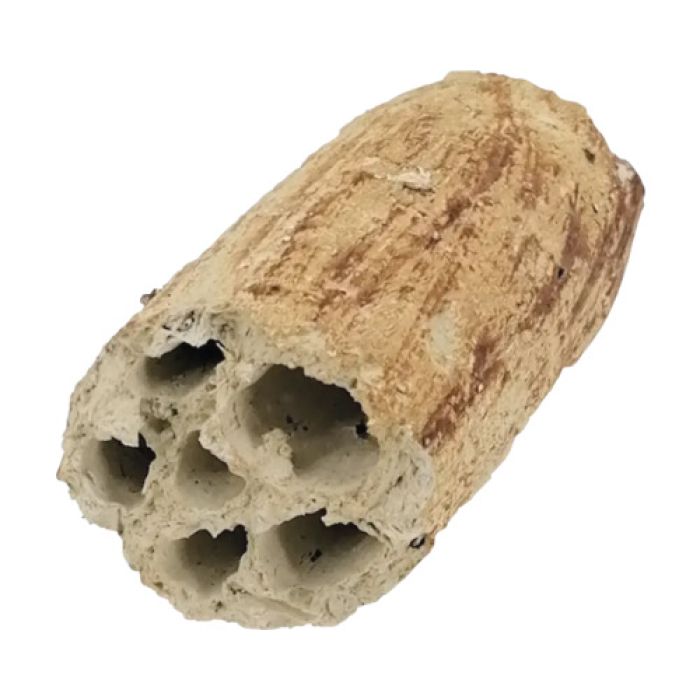 Aquaroche rifugio Multi Holes per gamberetti 8cm