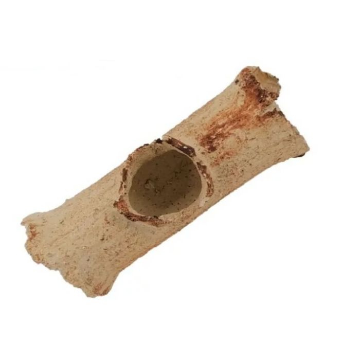 Aquaroche Tronco cavo 15cm