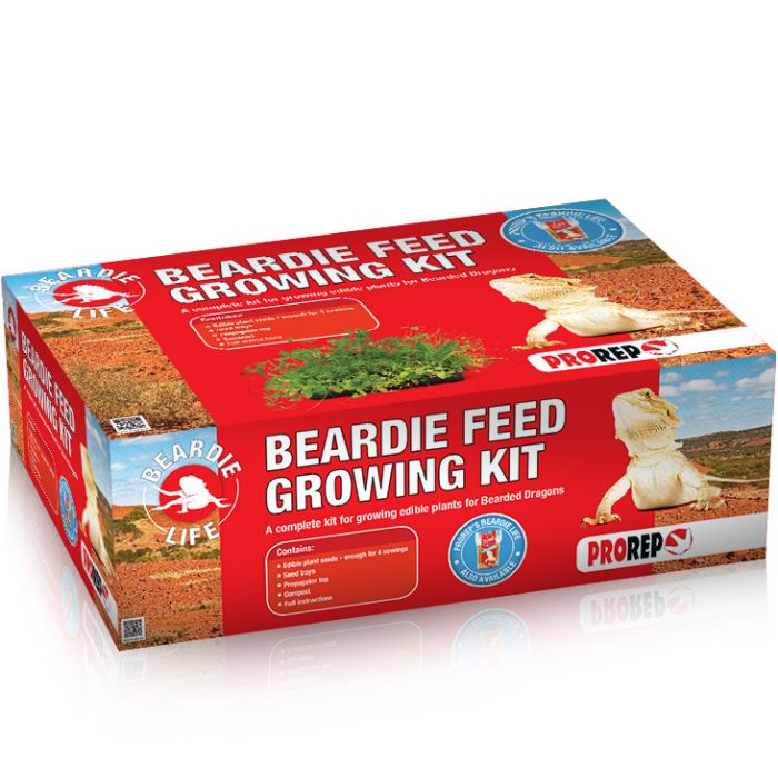Beardie Feed Growing Kit