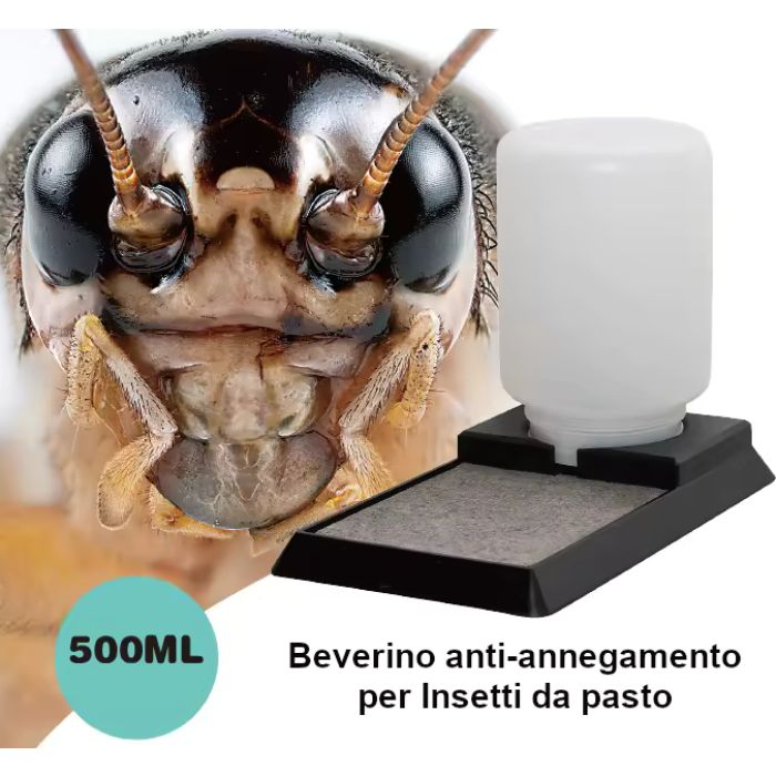 Beverino specifico per Insetti da pasto