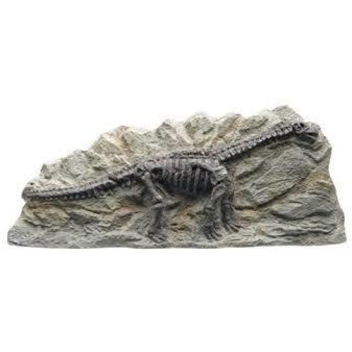 Brontosaurus Grey Fossil