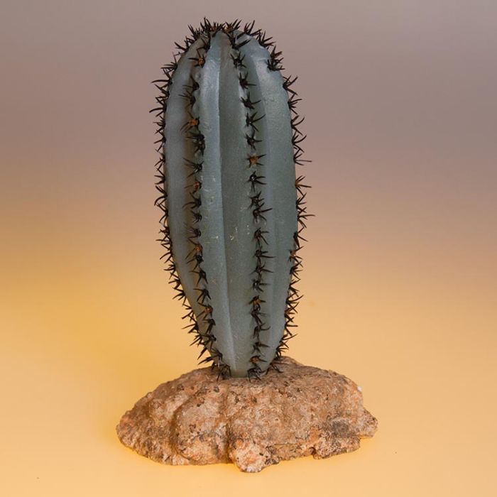 Eurozoo Saguro Cactus