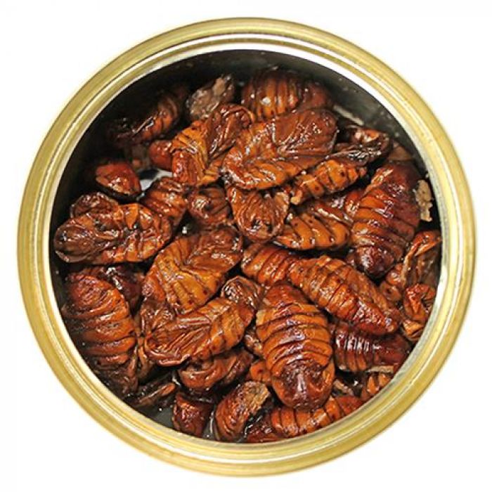 Dr.Raptor Canned Silkworm 35gr