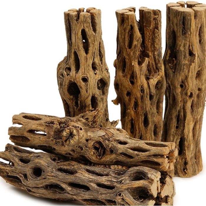 Cholla Wood - Legno di cactus per Gamberetti