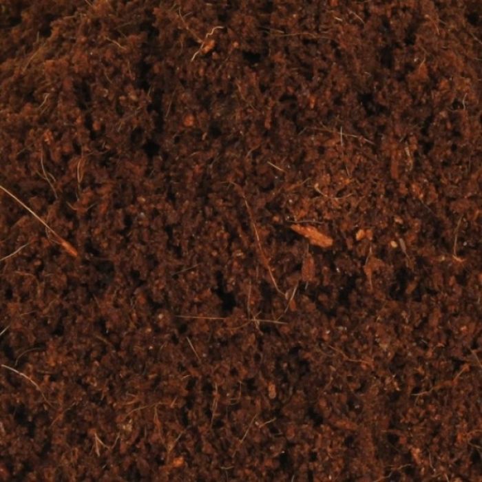 Dr.raptor Coco Soil 40 Litri 3,5Kg - Fibra Di Cocco per rettili e terrari