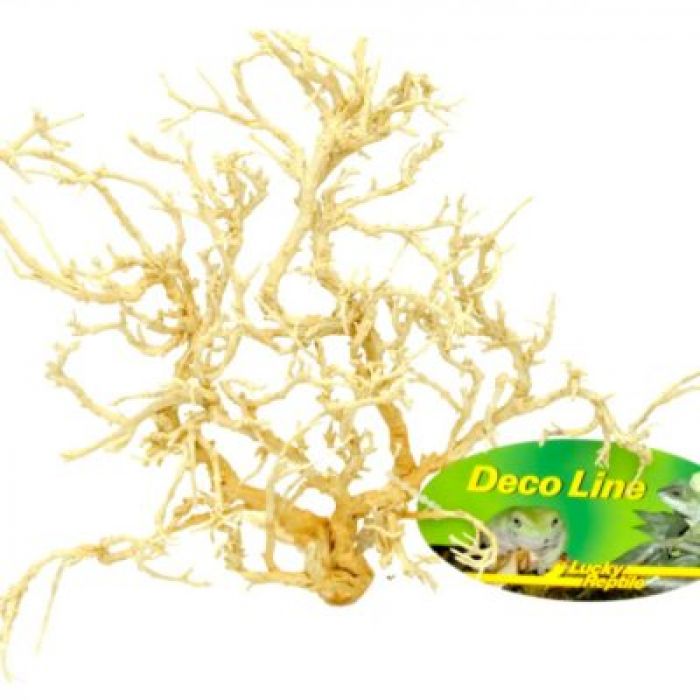 Lucky Reptile Coral Wood 30-50cm