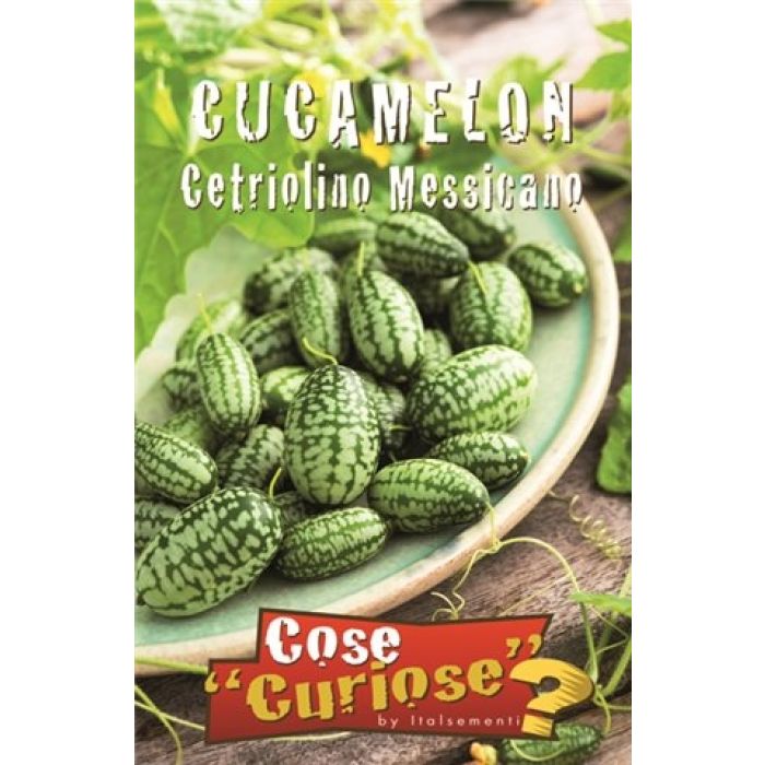 Cucamelon Cetriolino Messicano