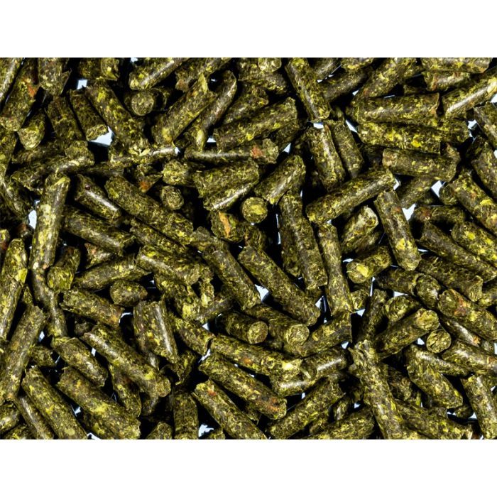 Dr.Raptor Tortoise Sticks Premium 750gr - Mangime Olistico per Tartarughe di terra