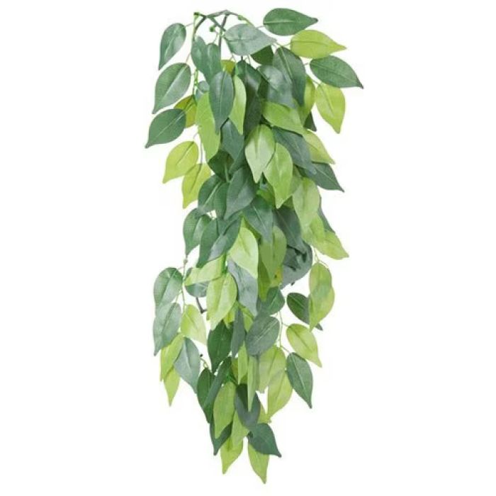Ficus con ventosa artificiale 40cm
