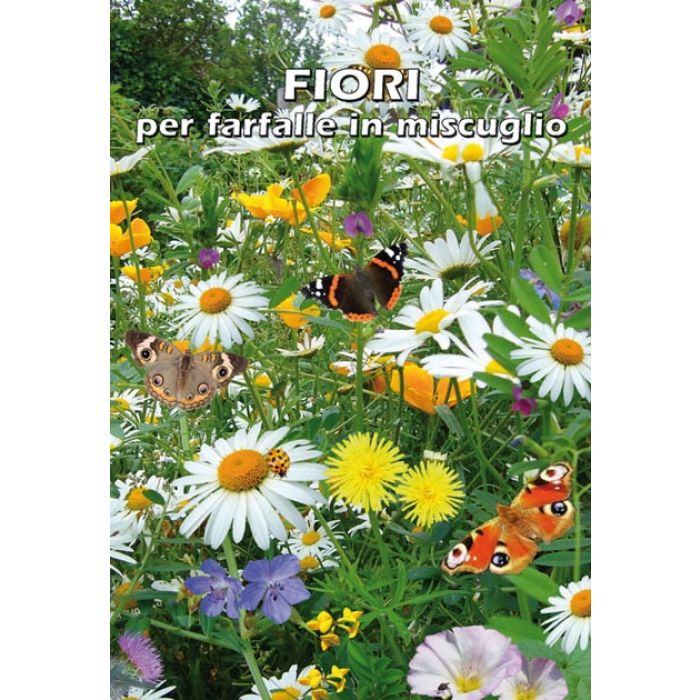 Semi di Fiori per Farfalle - Agripet Garden