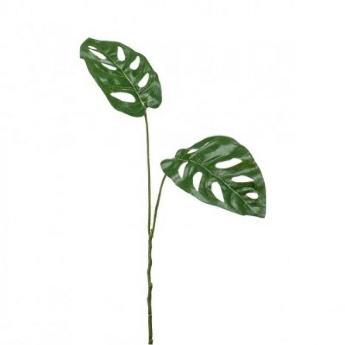 Philodendron Monstera Leaf - 50cm