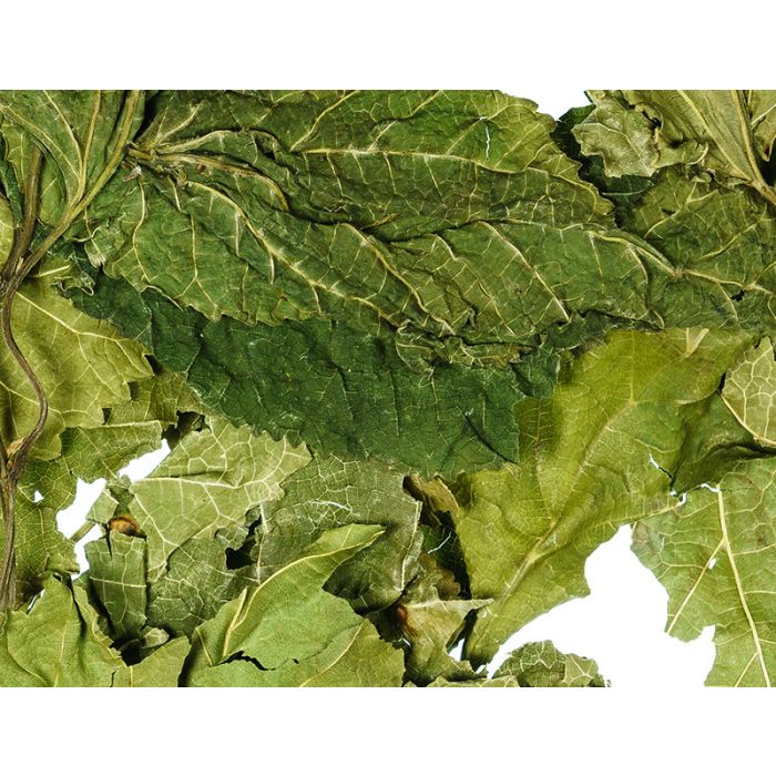 Dr.Raptor Mulberry leaves 100gr - Foglie di gelso essiccate