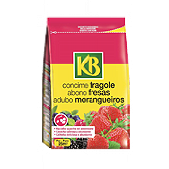 Ital-agro Concime Per Fragole 800gr.