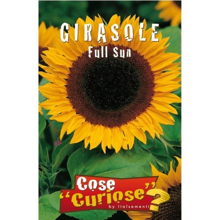 Semi di Girasole Full Sun