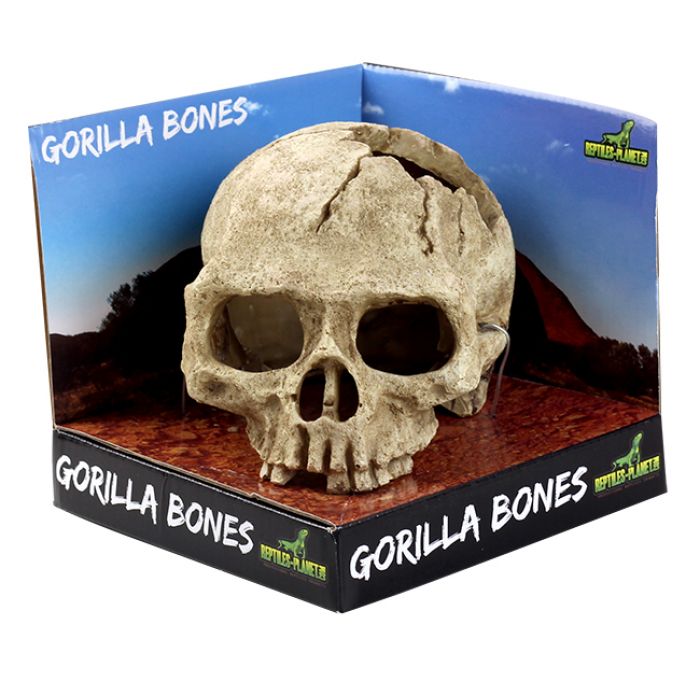 Gorilla Bones