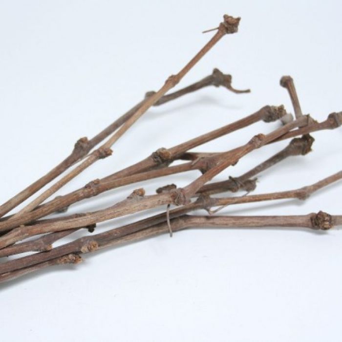 Grape Twigs 60cm