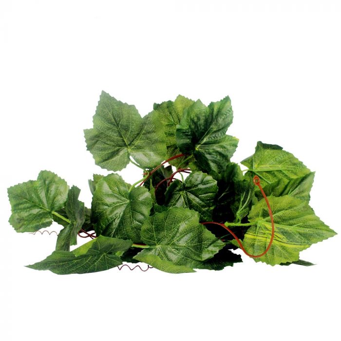 Dr.Raptor Grape Vine Leaf - 2 Metri