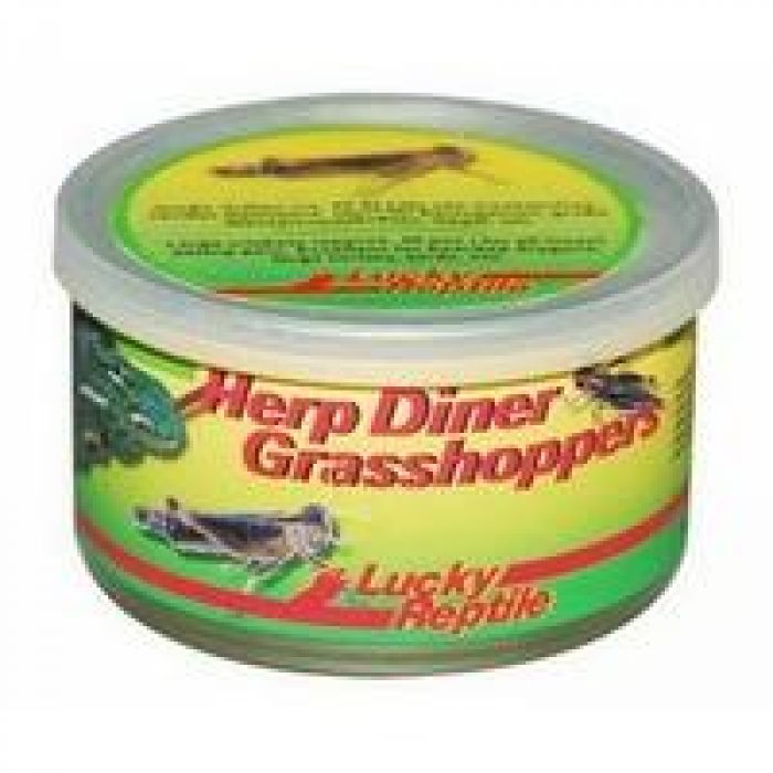 Lucky Reptile Herp Diner Grasshoppers Large 35g