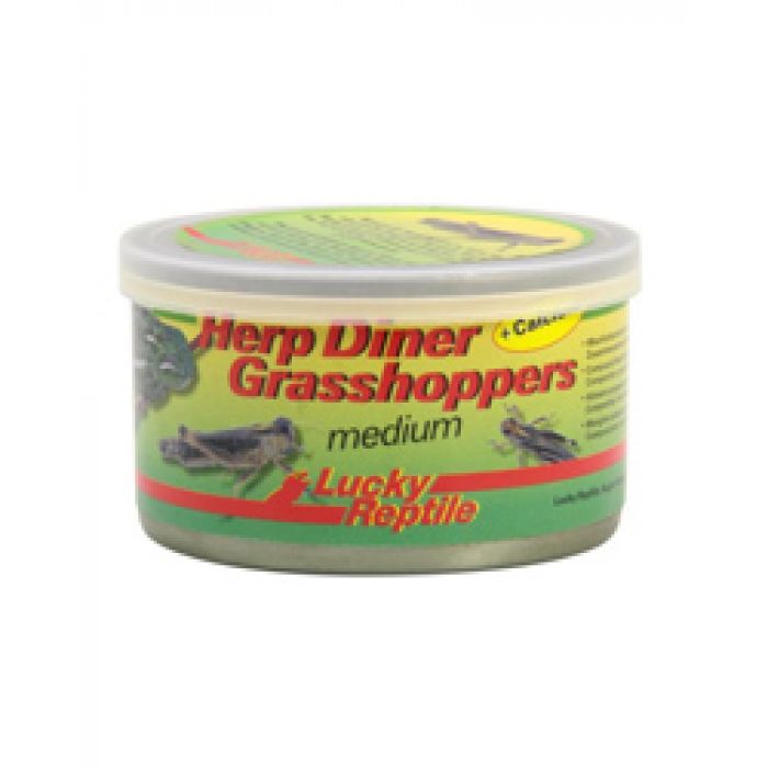 Lucky Reptile Herp Diner Grasshoppers Medium 35g