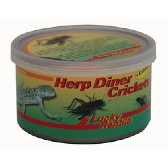 Lucky Reptile Herp Diner Crickets Large 35g