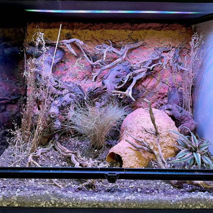 Terrario Bioattivo per Geco Leopardino 50x35x40cm