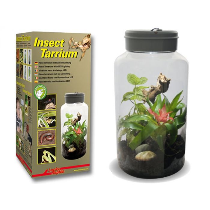 Lucky Reptile Insecttarrium