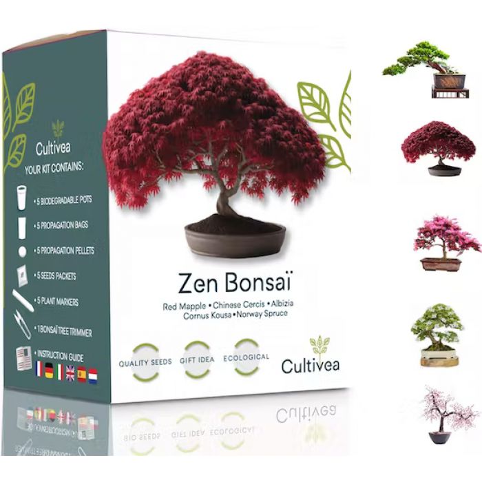 Kit Zen Bonsai - Kit di Coltivazione di 5 Bonsai