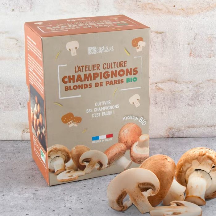 Kit di coltivazione Funghi Champignons Blonds de Paris BIO