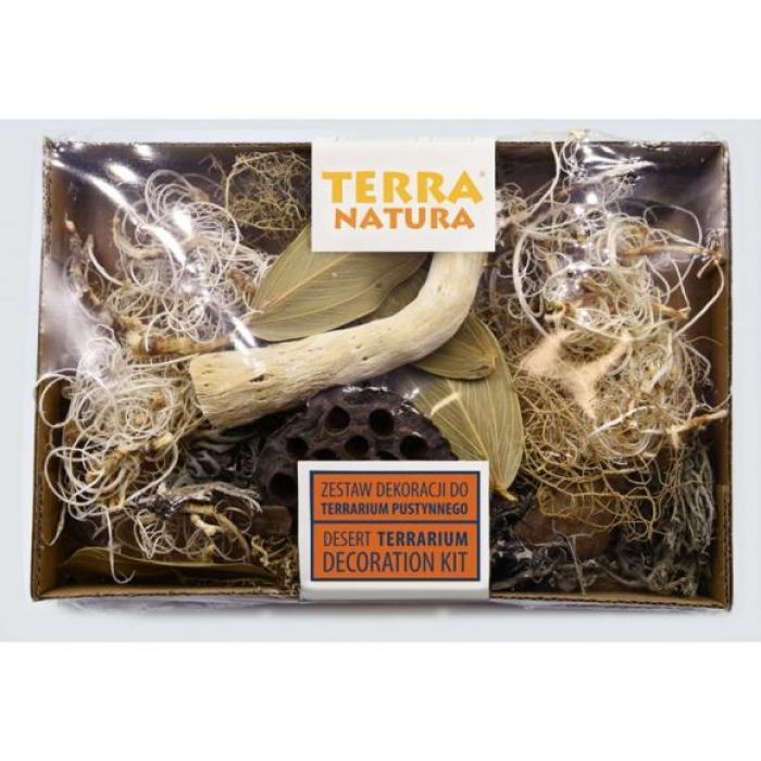 TerraNatura Desert terrarium decoration Kit