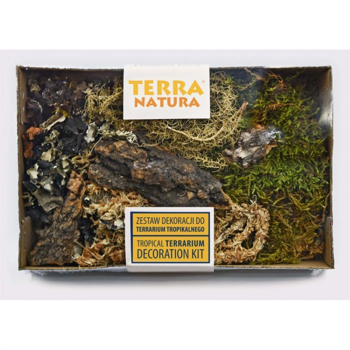 TerraNatura Tropical terrarium decoration Kit