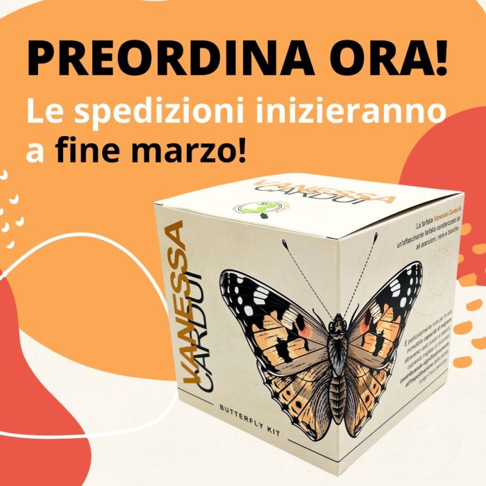 Vanessa Cardui - Kit Farfalle