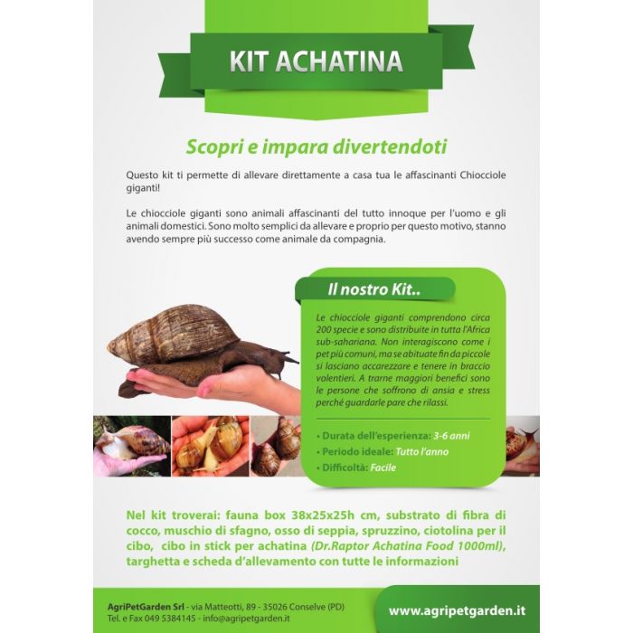 Achatina Kit - Kit didattico allevamento Chiocciole Giganti