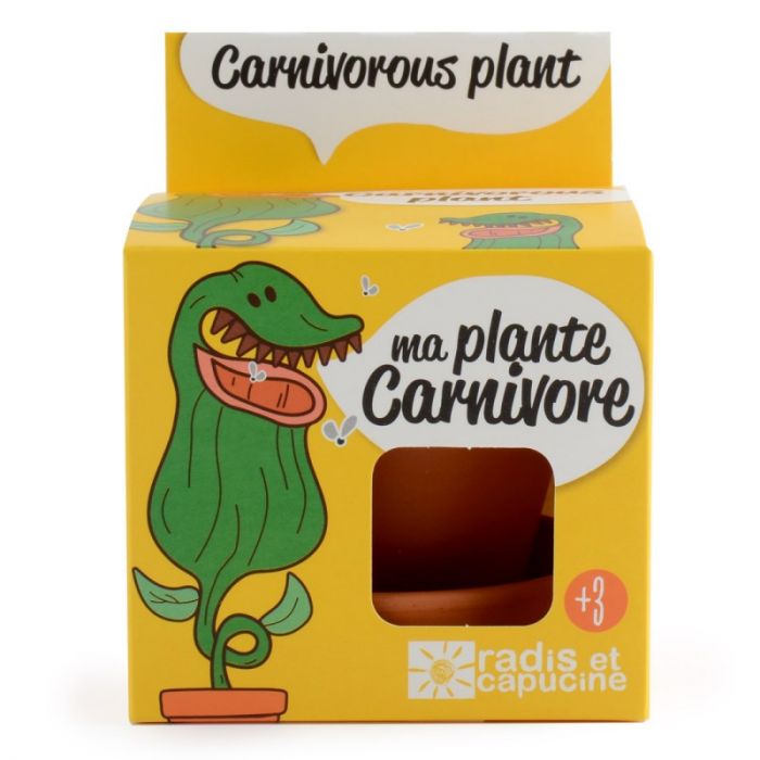 Kit di Coltivazione Pianta carnivora Sarracenia purpurea