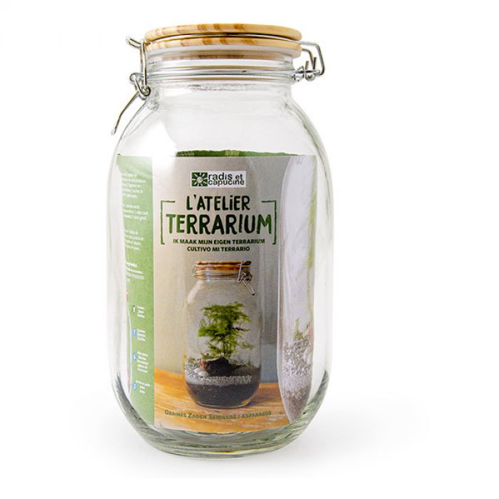 Kit Terrarium Fai da te "Asparagus"